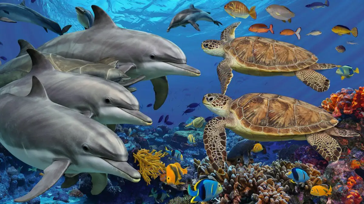 The Marvels and Mysteries of Oceanic Life