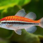 Is Freshwater Fish Safe to Eat? A Comprehensive Guide