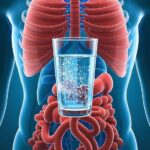 How Drinking Water Contributes to Your Health